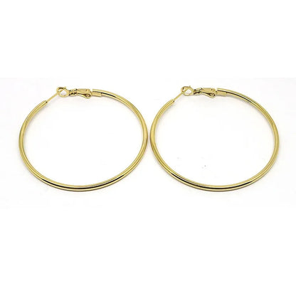 Stainless Steel Simple Classic Round Hoop Earrings