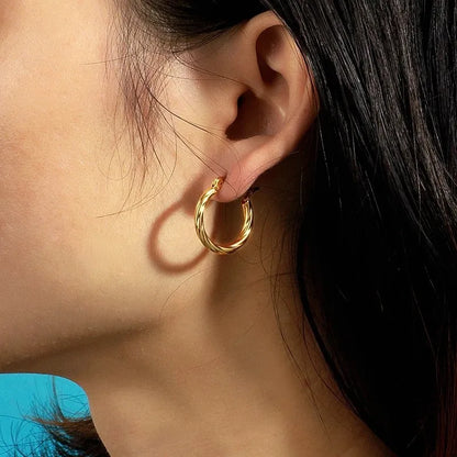 Gold Or Silver Stainless Steel Twist Hoop Earrings