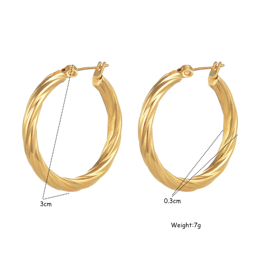 Gold Or Silver Stainless Steel Twist Hoop Earrings