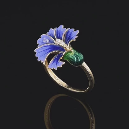 Fioritura della Viola - Ring